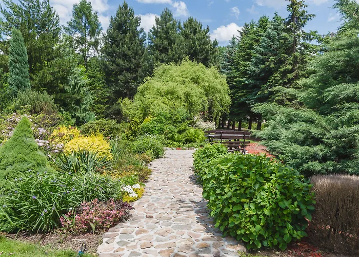 ホテル Domus Mater 3*